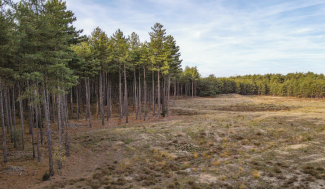 Nationaal Park Bosland