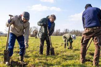 bomen planten provincie Antwerpen