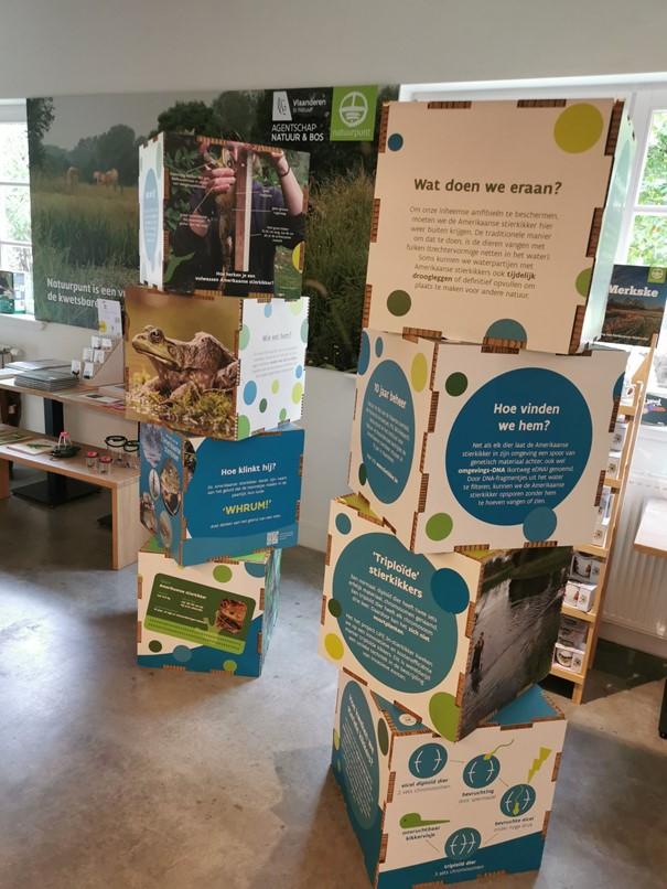 Infoborden van expo over de stierkikker