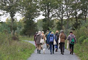 Groep wandelaars op een verhard wandelpad