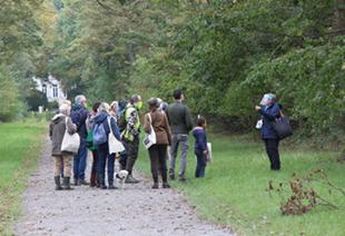 Wandelaars in het Parkbos begeleid door een gids