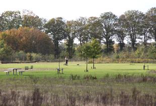 Grasveld met picknicktafels en bomen