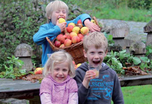 Kinderen aan een picknickbank met een grote doos appels