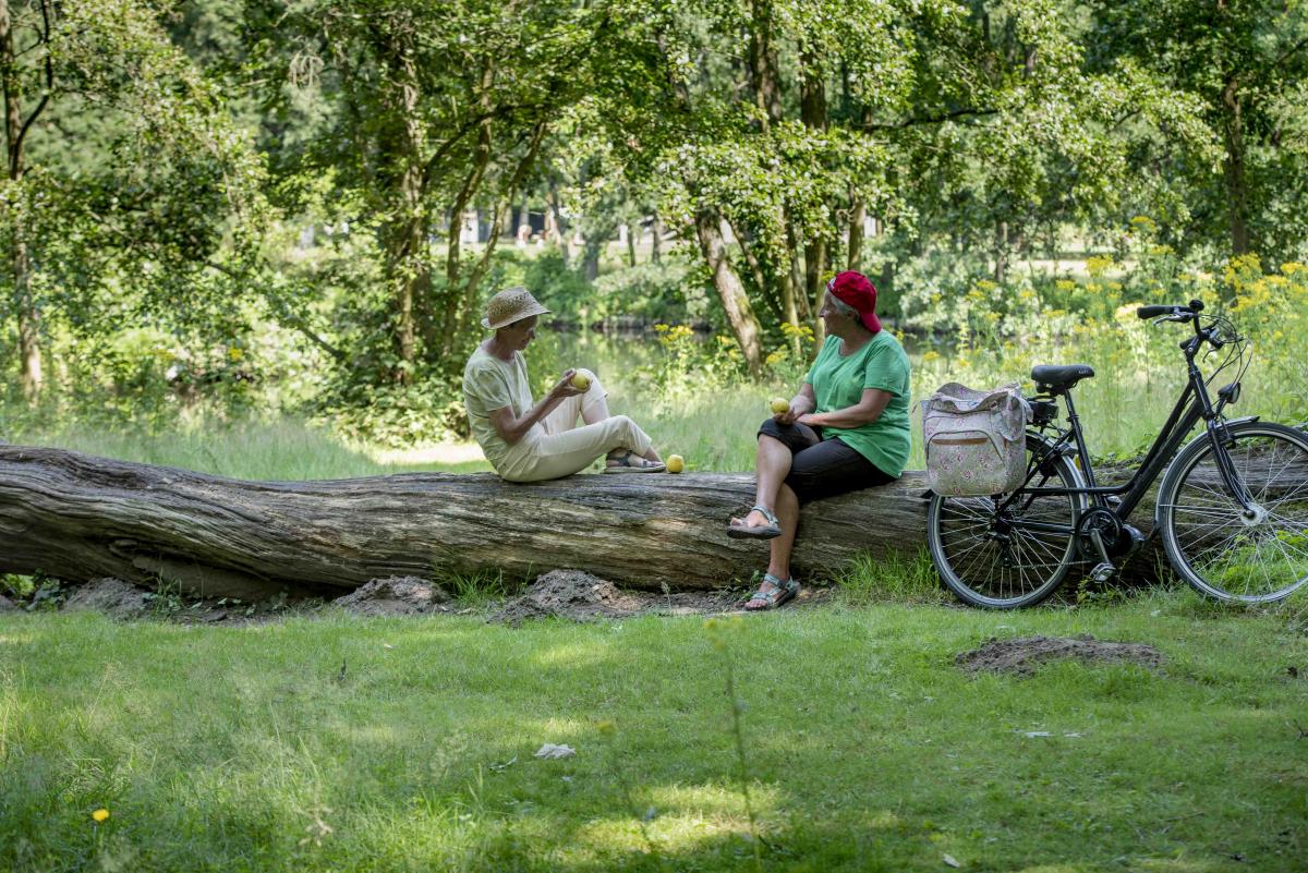 Picknickers in de natuur zitten op een omvergevallen boomstam