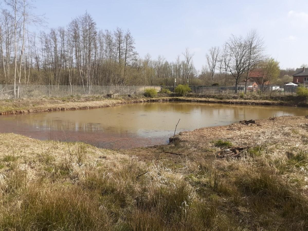 Bruin water door het pompen en de werken aan de kweekvijver