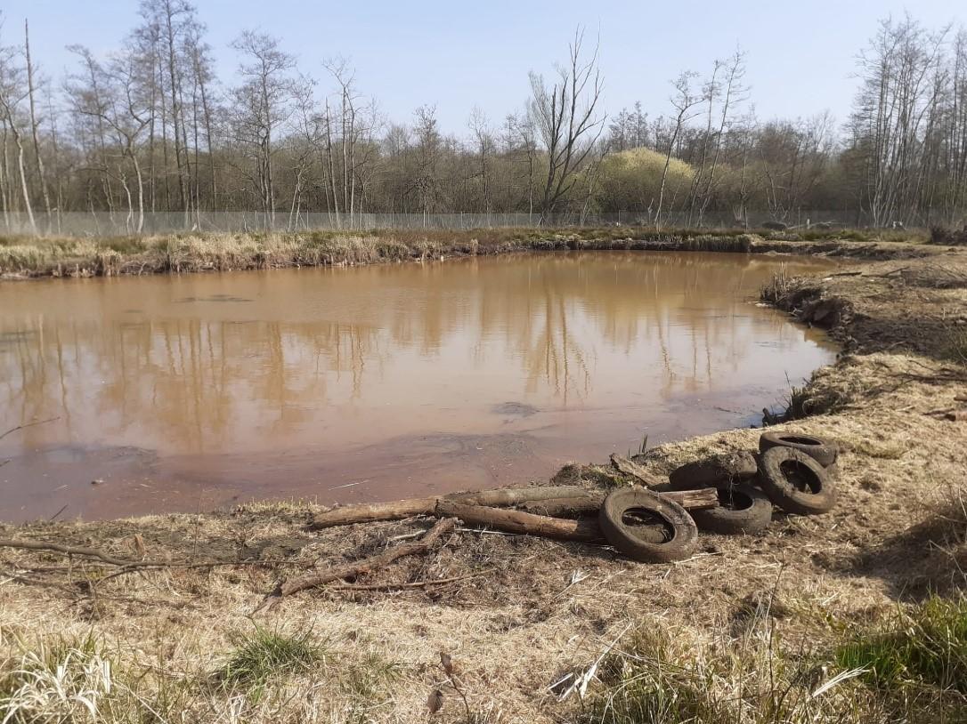 Bruin water door het pompen en de werken aan de kweekvijver