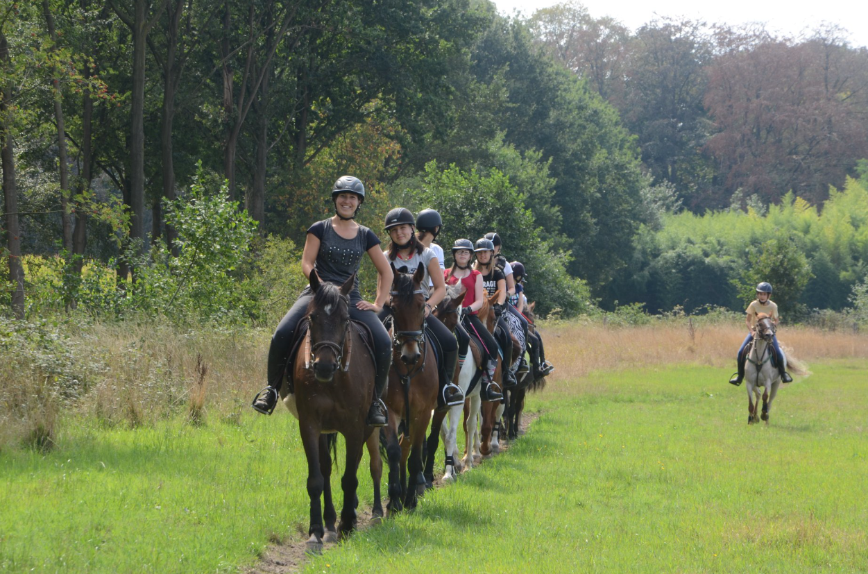 Groep paardrijders op een veld