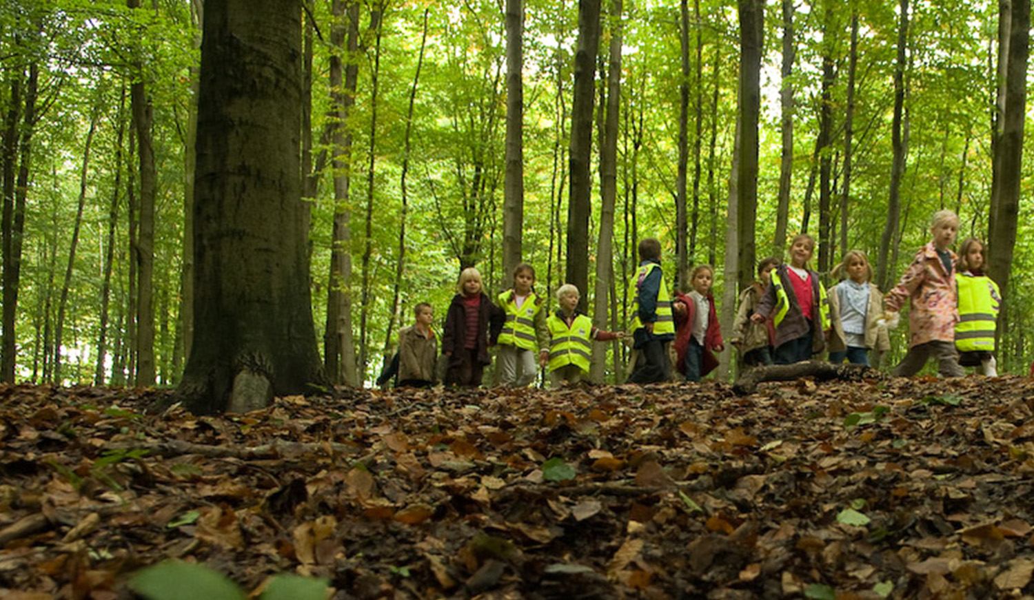 Kinderen in bos