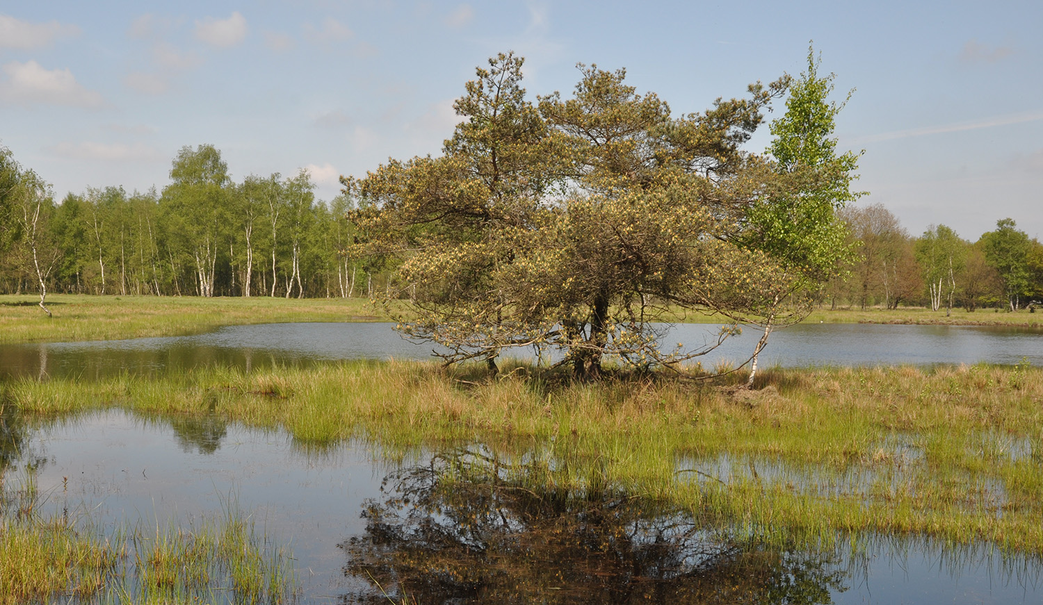 Landschap Abtsheide