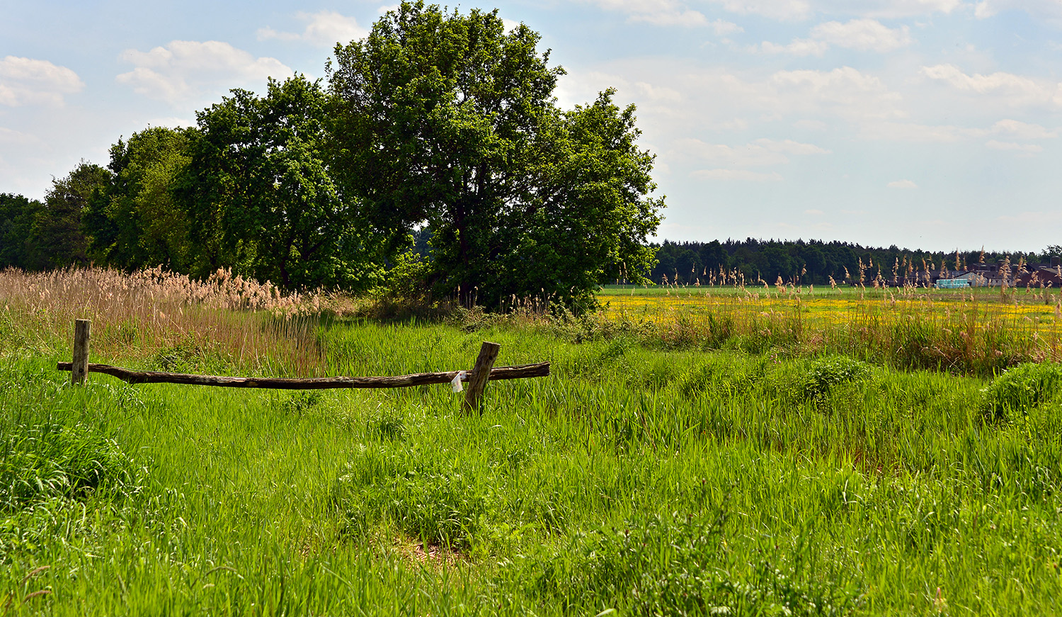 Landschap Achelse Kluis