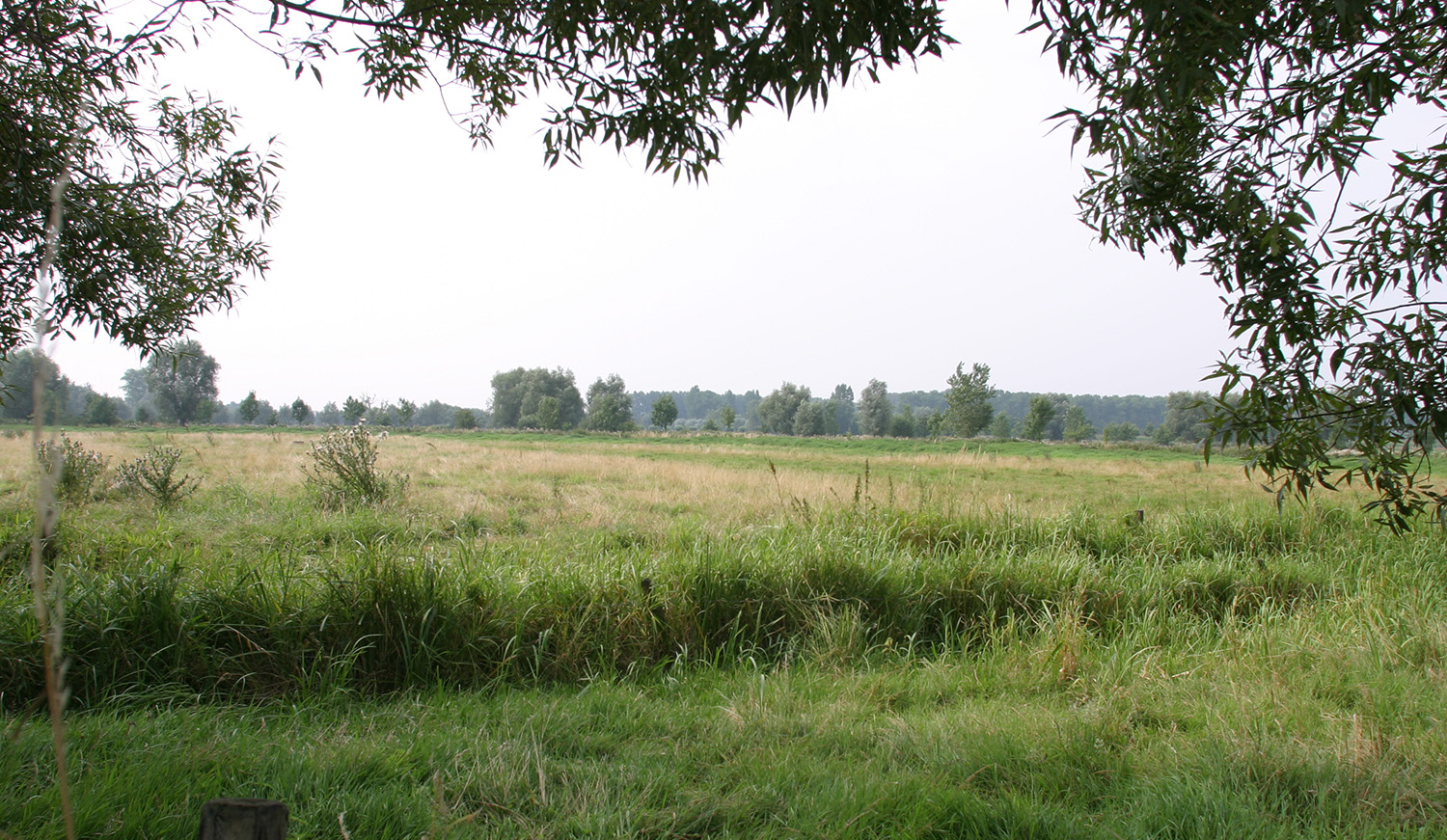 Landschap Assebroekse Meersen