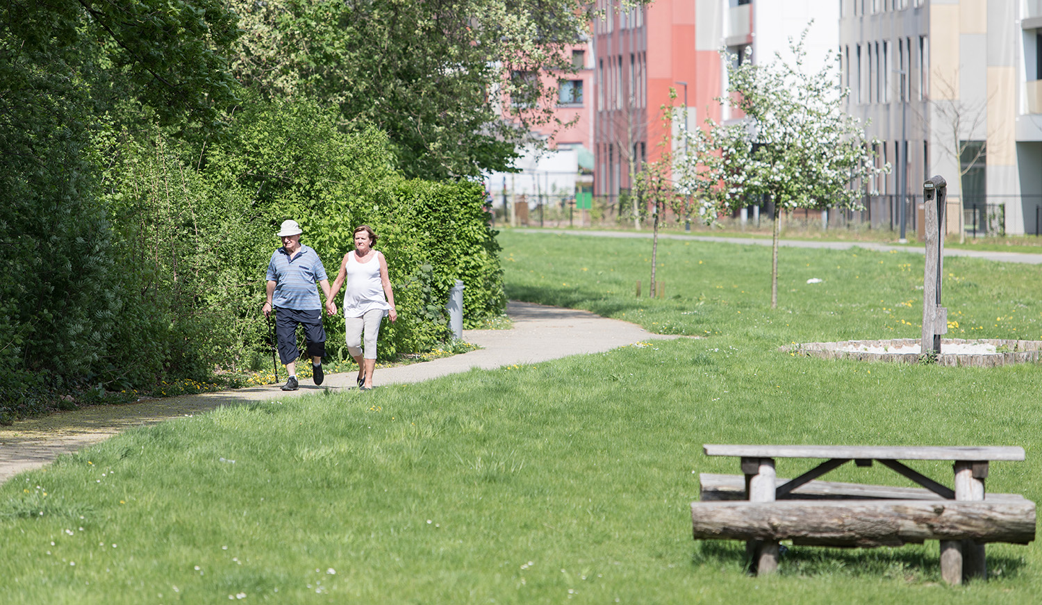 Wandelaars in het park