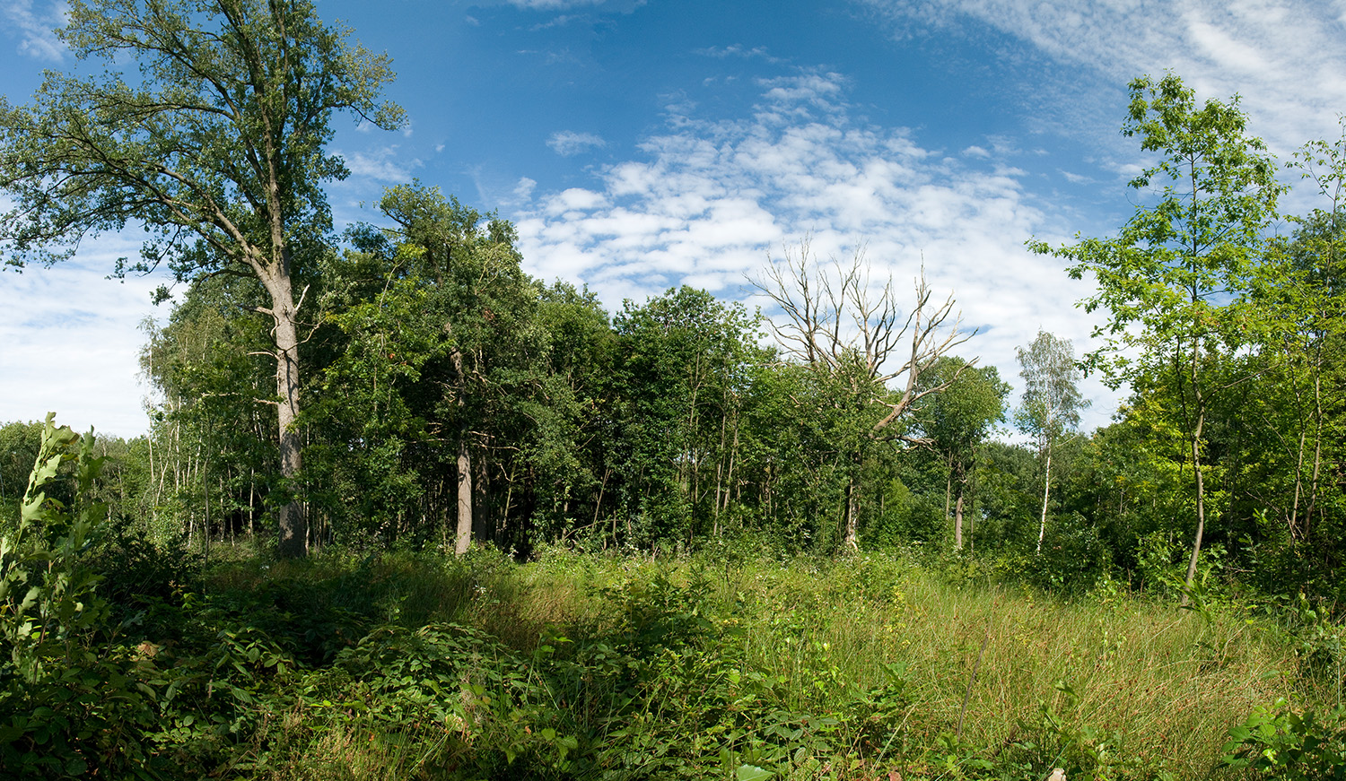 Landschapsfoto