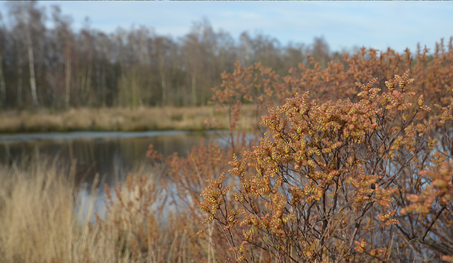 Landschapsfoto