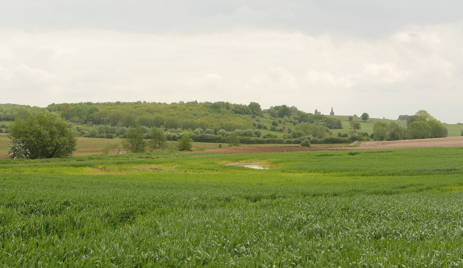 Landschapsbeeld