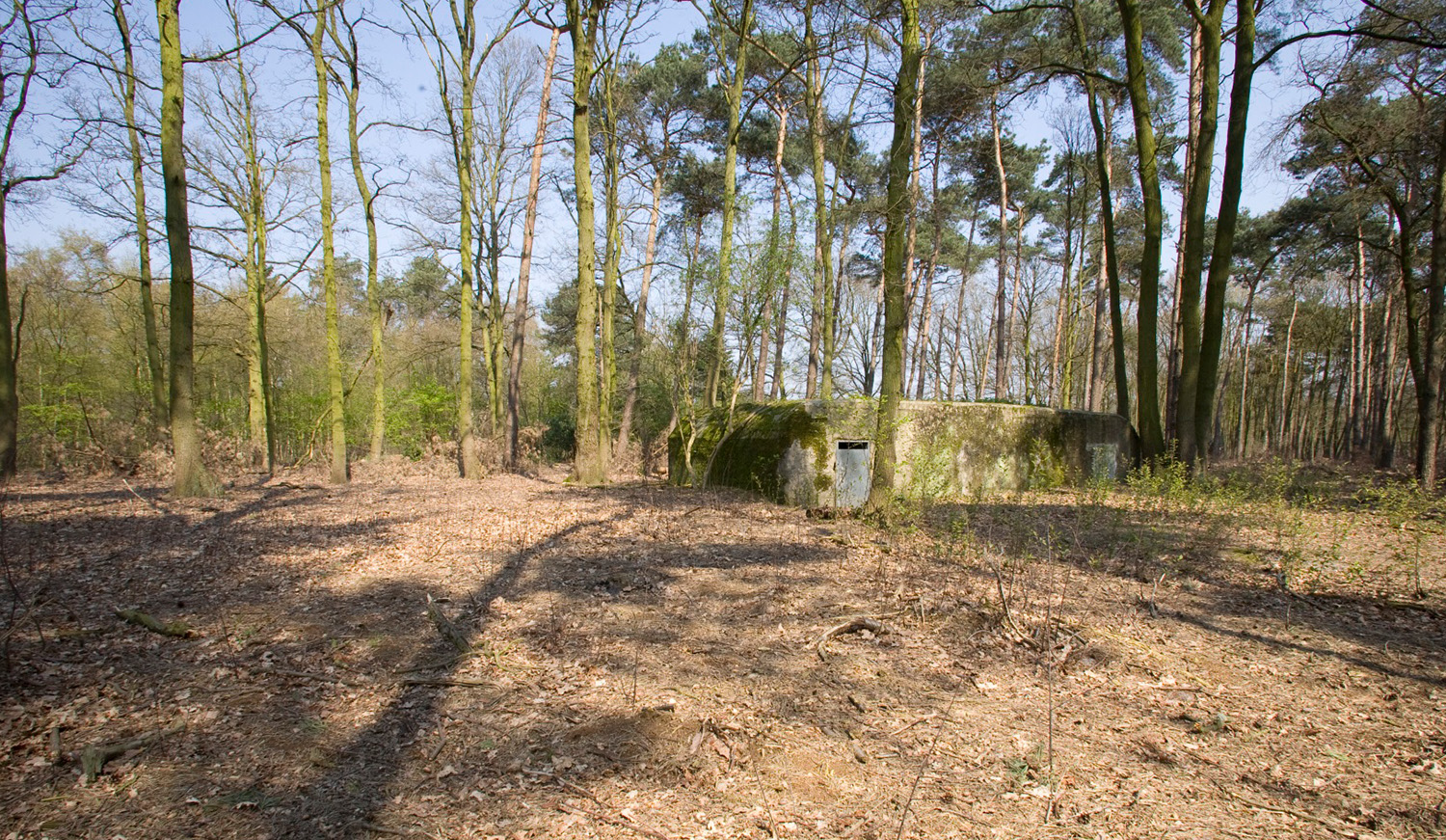 Landschapsfoto