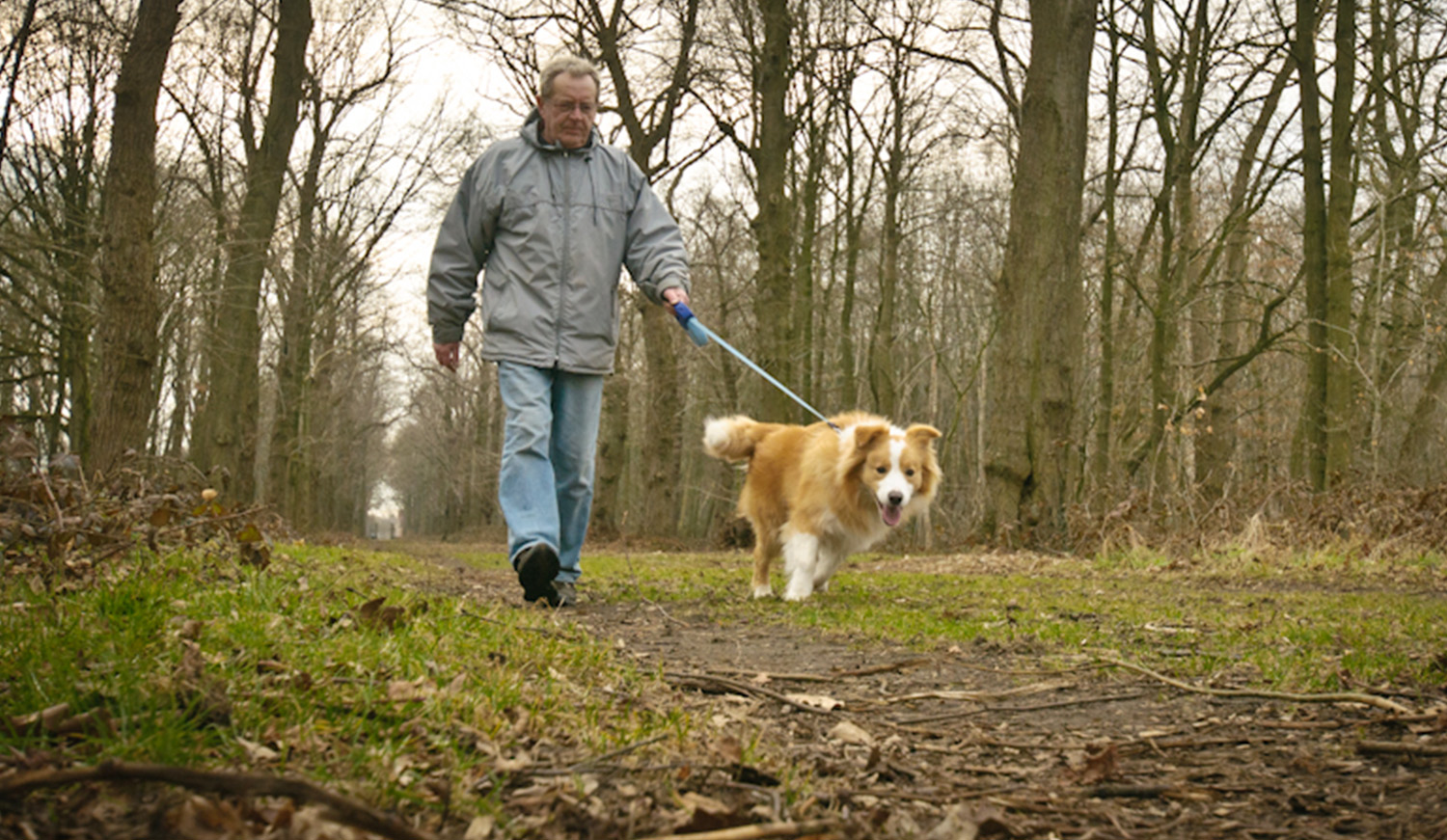 Wandelaar met hond