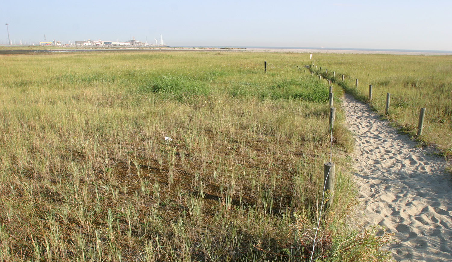 Landschapsbeeld