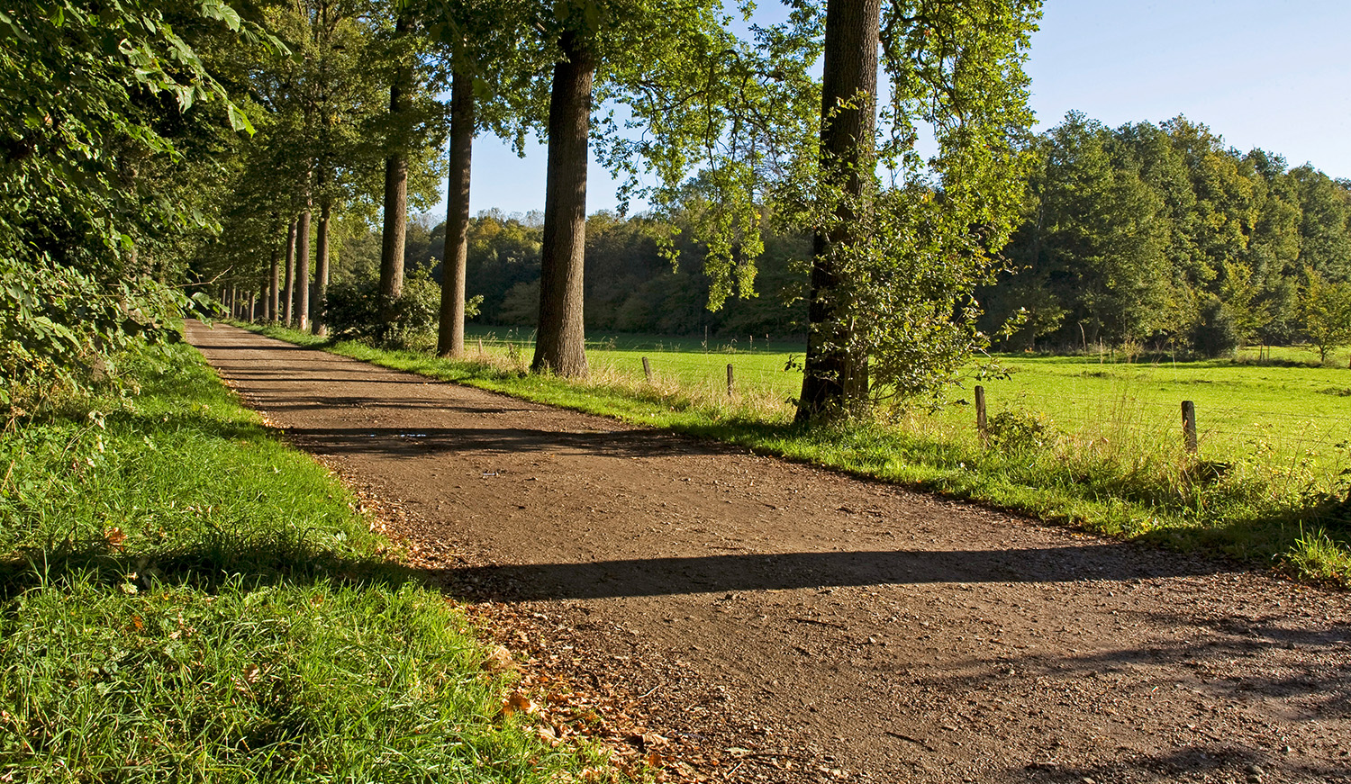 Landschapsfoto