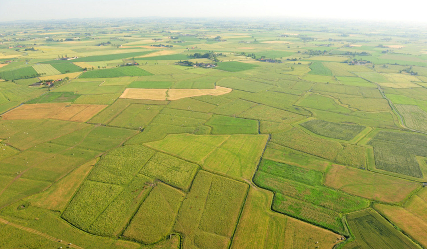 Luchtbeeld komgronden