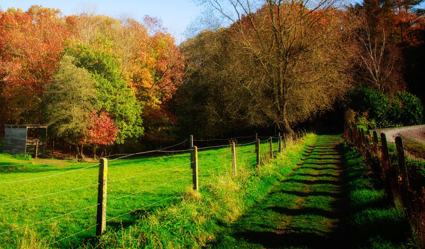 Landschapsbeeld