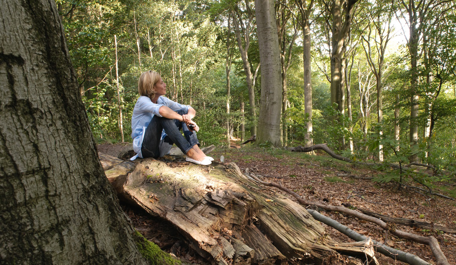 Vrouw op boomstam