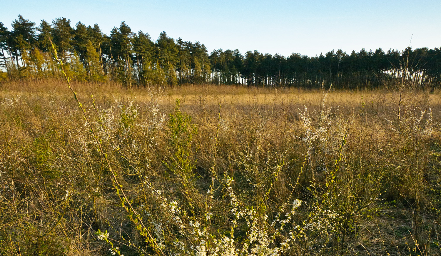 Landschapsbeeld