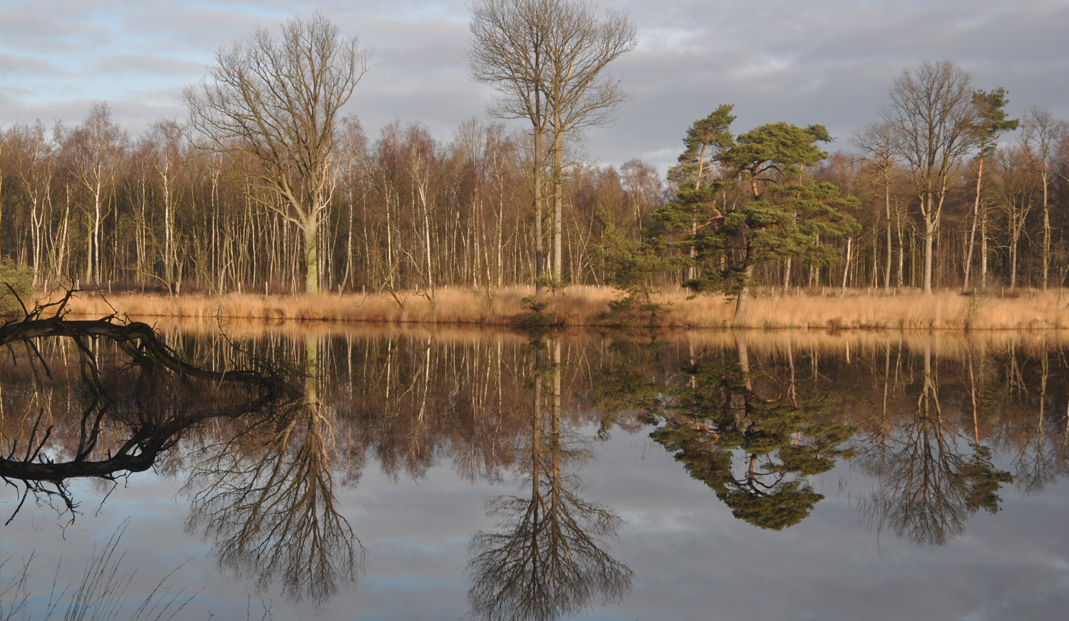 Landschapsbeeld