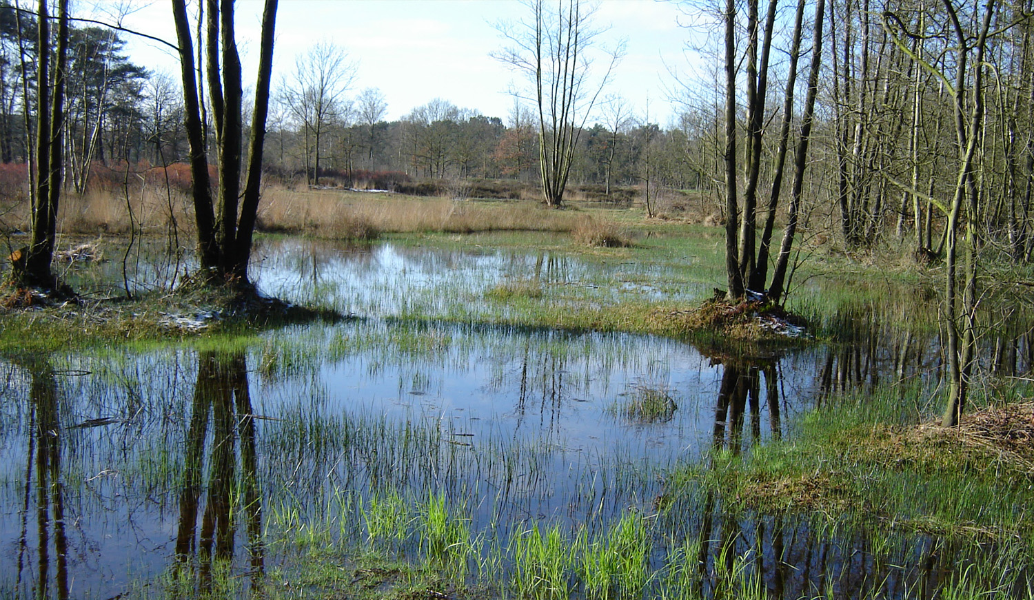 Landschapsbeeld