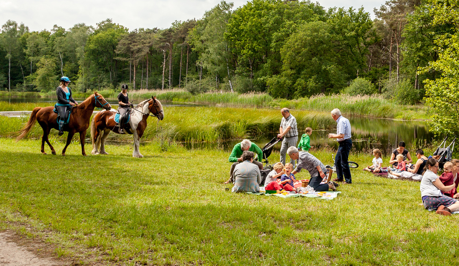 Picknickers