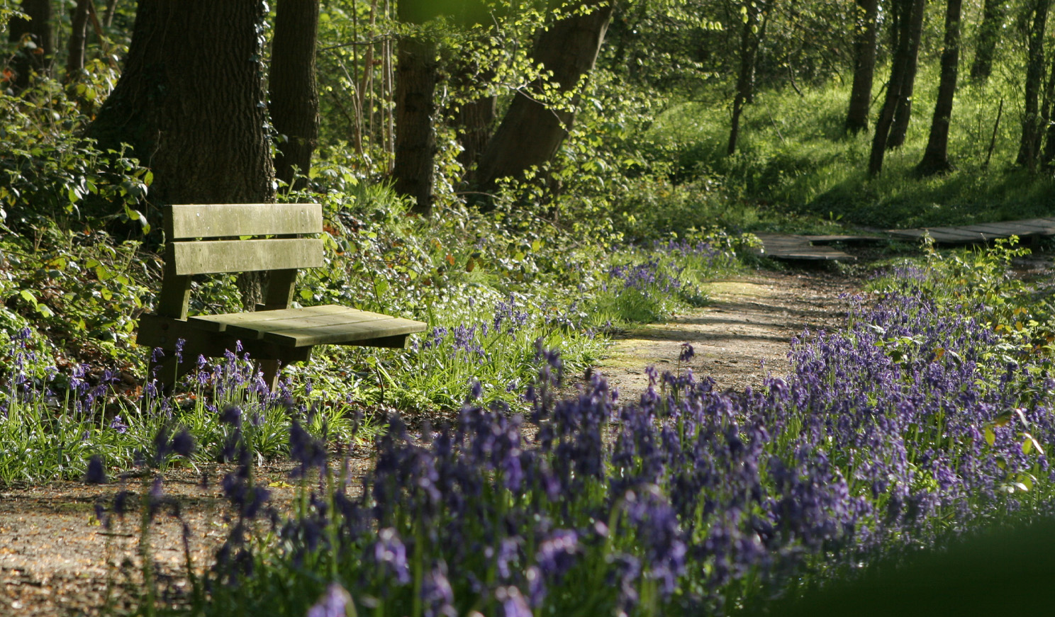 Bank langs het wandelpad