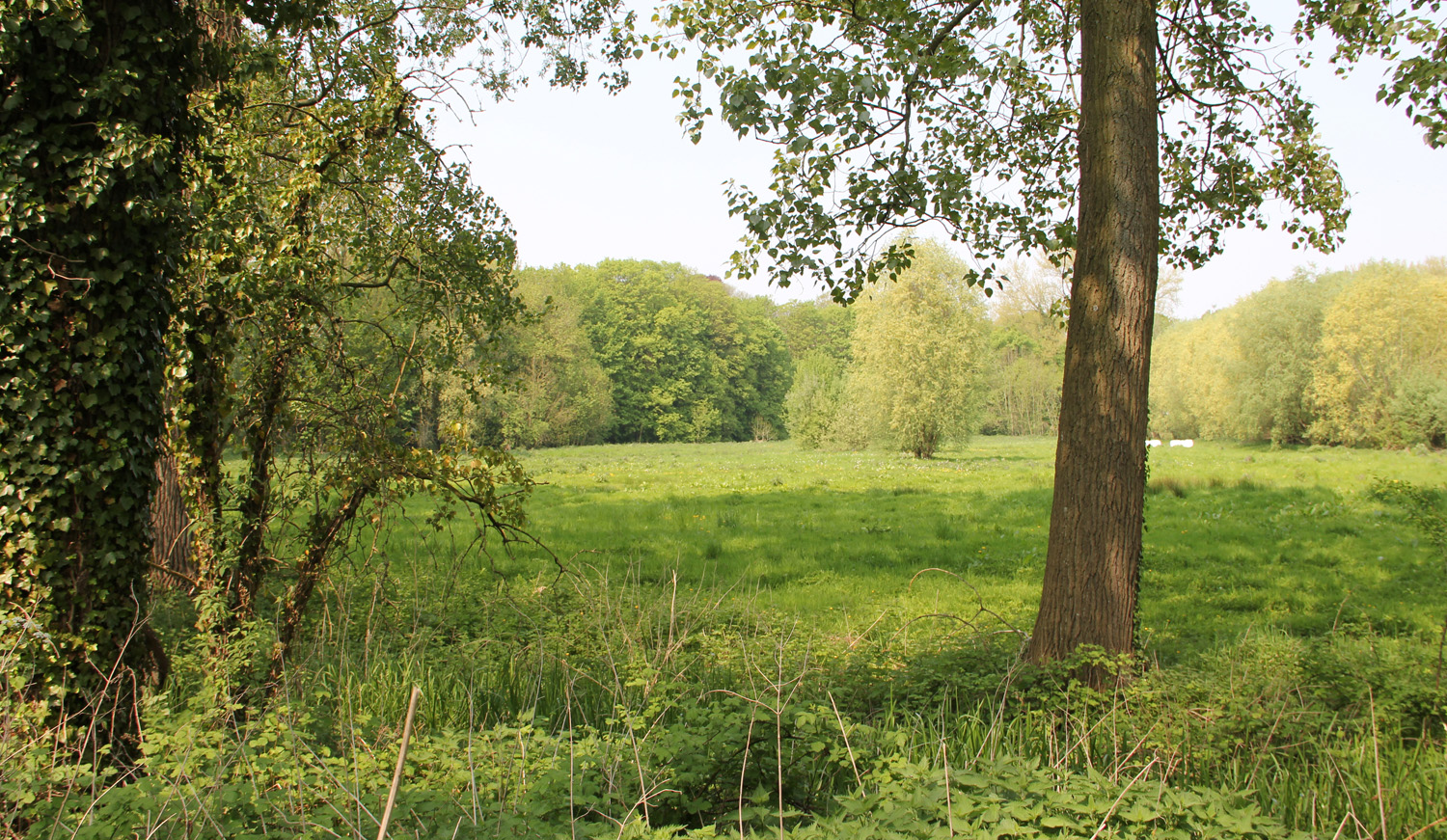 Landschapsbeeld