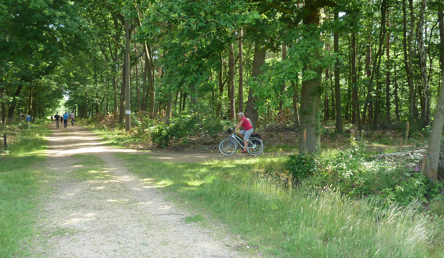 Recreanten in het bos