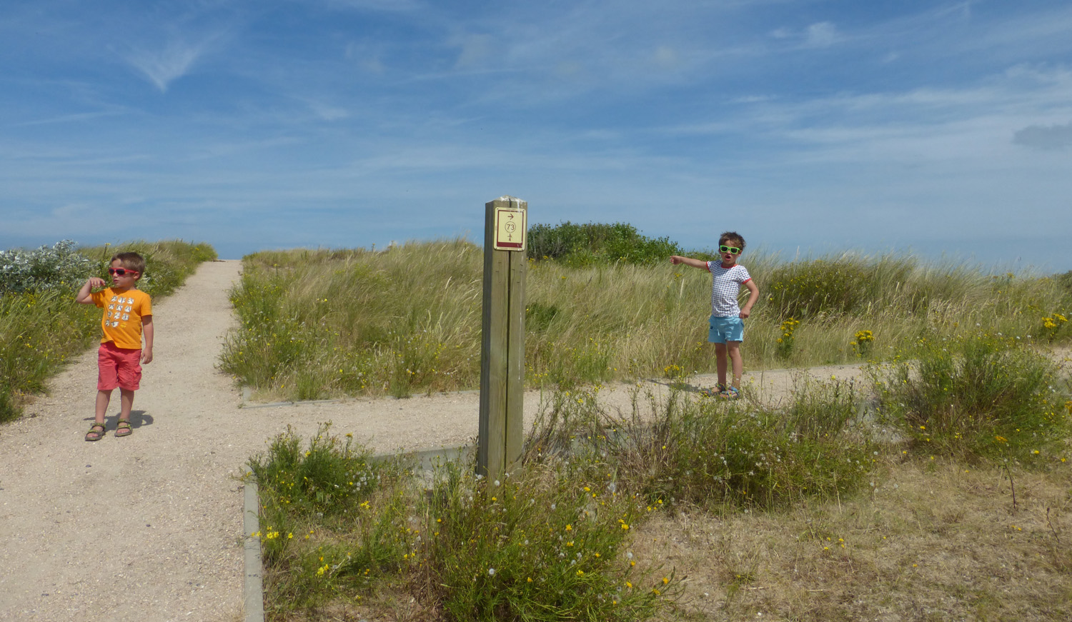 Kinderen op het wandelpad