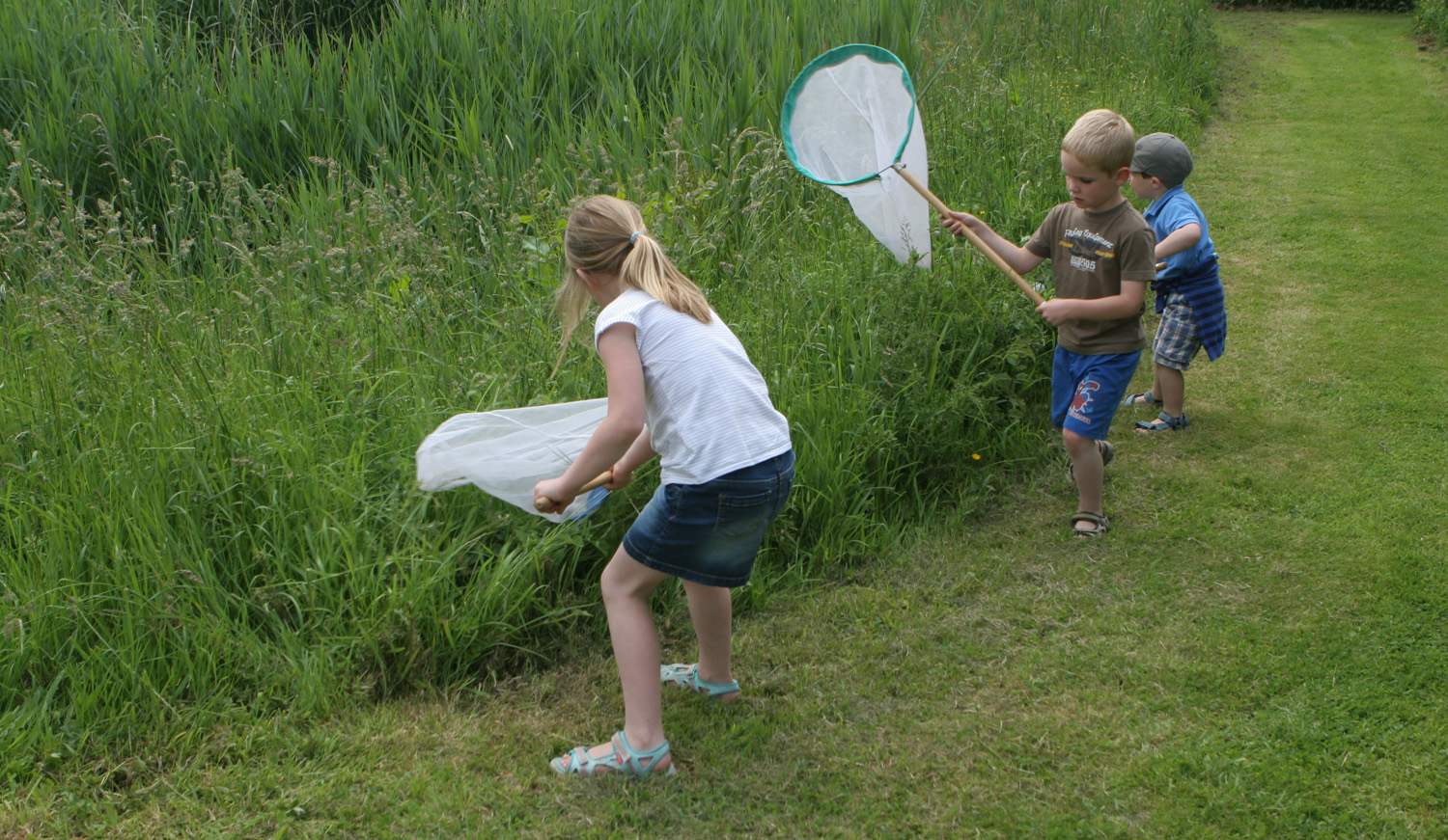 Kinderen met vlindernet