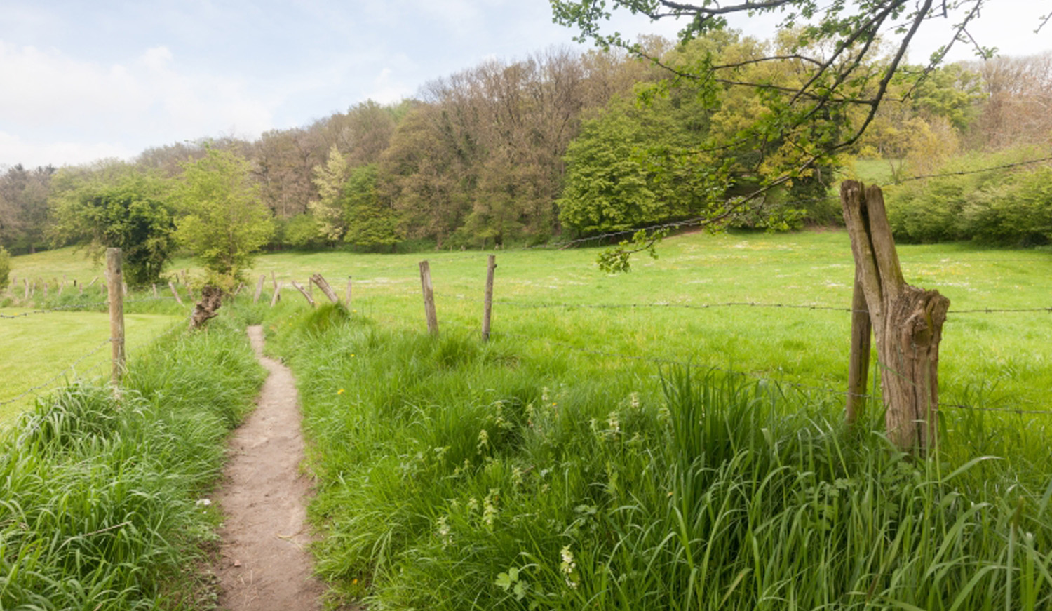 Landschapsbeeld