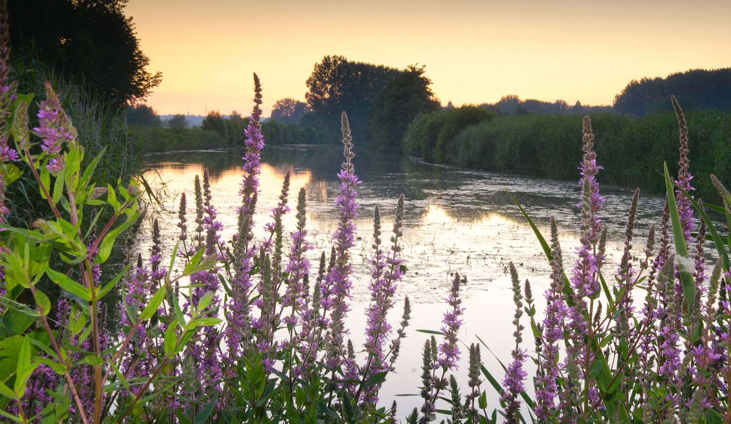 Landschapsbeeld