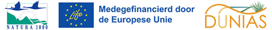 Logobanner