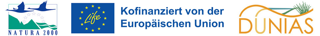 Logobanner