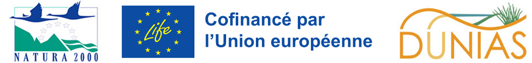 Logobanner