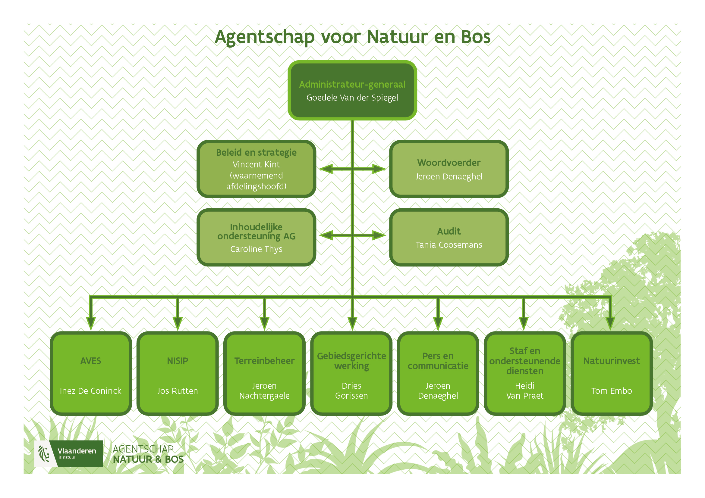 nieuw organogram